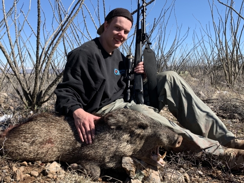 javalina javelina hunting arizona rifle season outfitters guides hunts