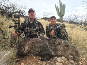 arizona javelina Jagd