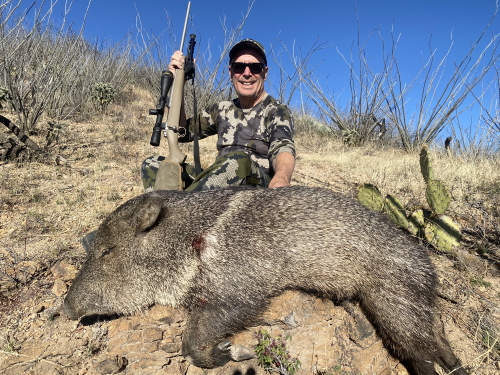 rifle javelina hunt in Arizona guided javelina hunting outfitters guides