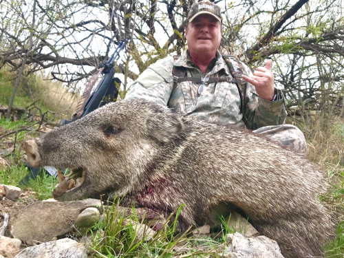 rifle season javelina hunting arizona guided hunts