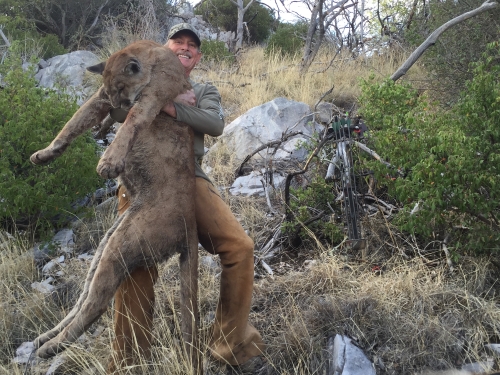 arizona mountain lion cougar hunting guides outfitters