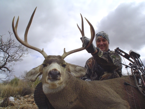 arizona archery mule deer hunting guides outfitters hunts