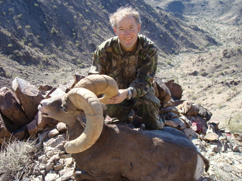 arizona desert bighorn sheep hunting arizona guided hunts